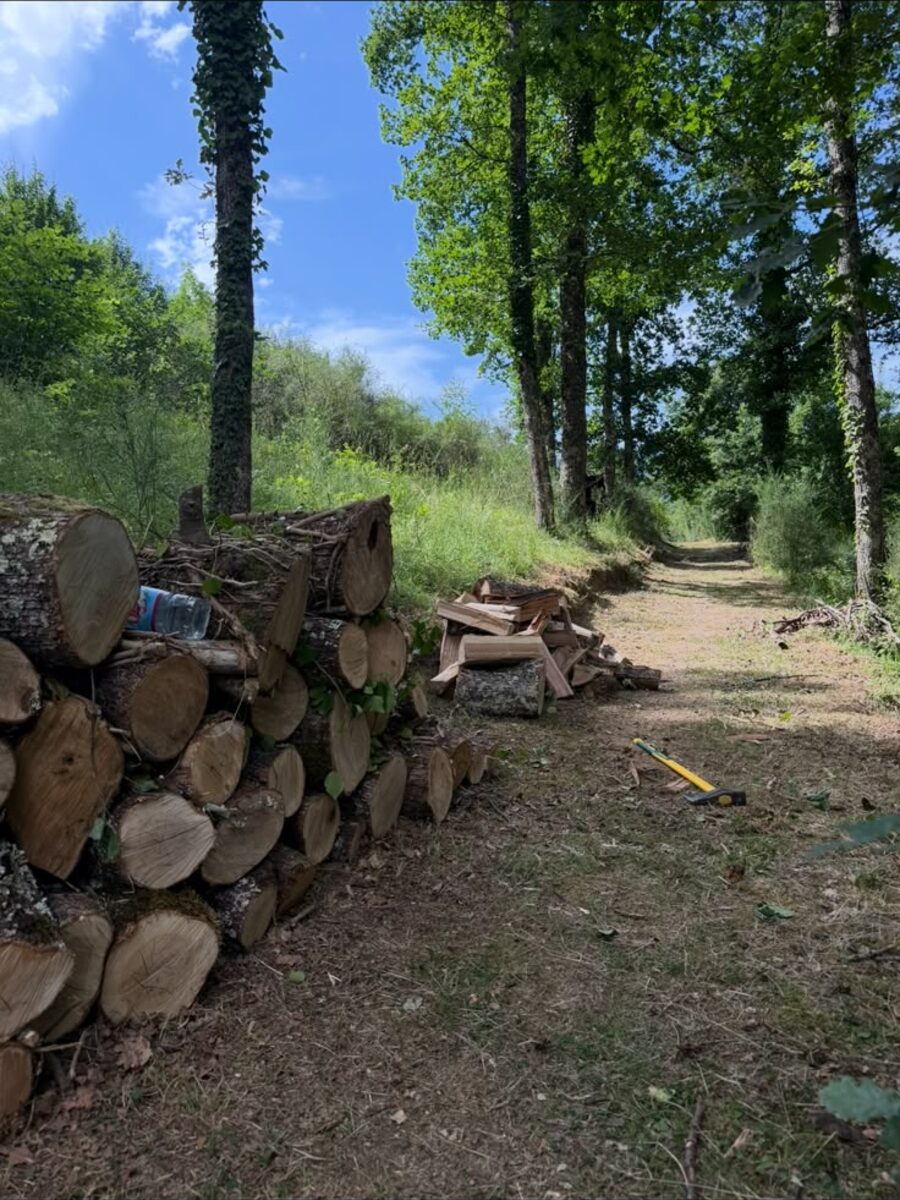 Terrain après des travaux de coupe
